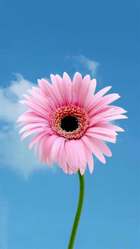 صادق&nbsp;صادق