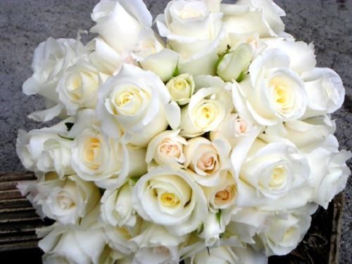 mahtab&nbsp;mohamadie