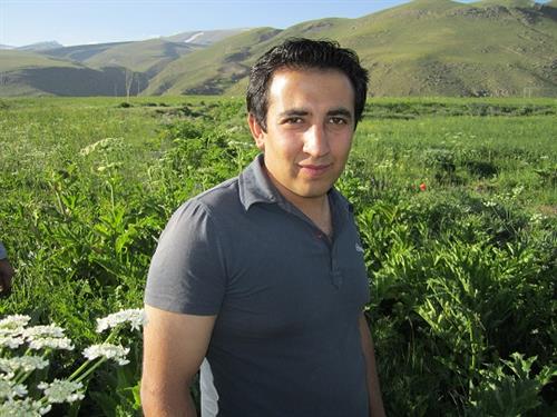 amir&nbsp;karimi