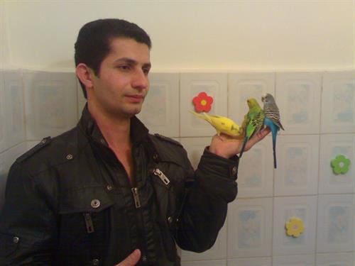 morteza&nbsp;noroozi