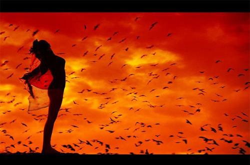 fereshteh&nbsp;ilbag