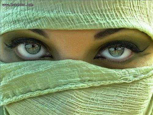 nastaran&nbsp;hosseini