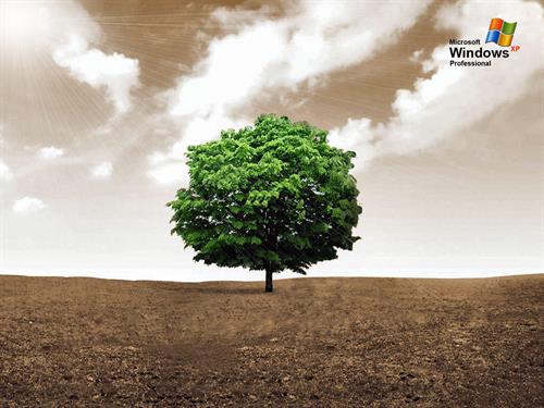 amirhossein&nbsp;b.l