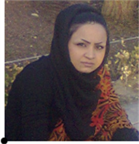 shirin&nbsp;seddighi