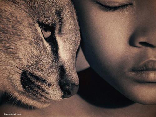 mehrdad&nbsp;mohamadi