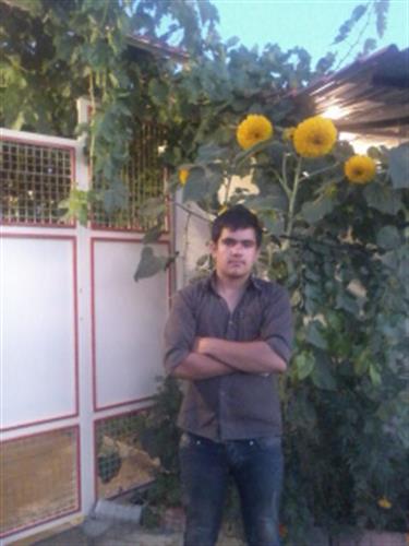 hadi&nbsp;nemidonam chi 