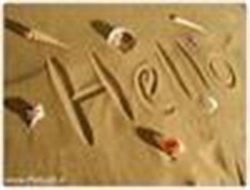 saeid&nbsp;danesh pajoh