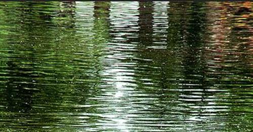 afshin&nbsp;moradian