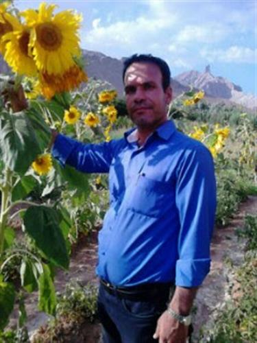 hasan---01713075&nbsp;karimi