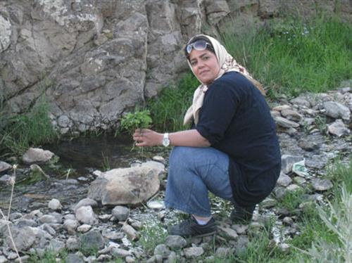 nastaran&nbsp;dorami