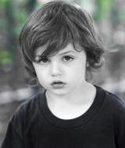 aidin&nbsp;safamanesh