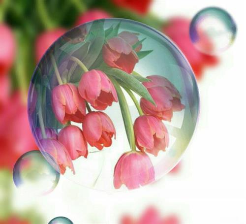 مرضیه&nbsp;رضوی