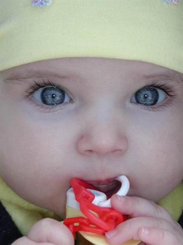 omid&nbsp;*