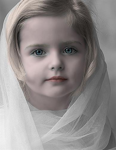 parniyan2020&nbsp;ariyayi