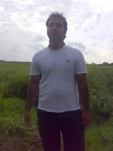 ارش&nbsp;پژمان