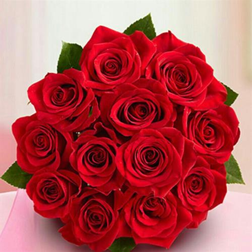 بیتا&nbsp;بهاری