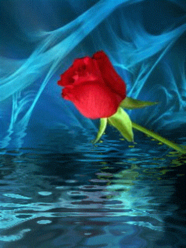 محمد&nbsp;دل آسا