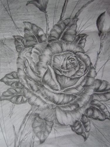  hasti&nbsp; roshan del