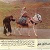 omid