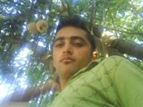 mersad&nbsp;mandani