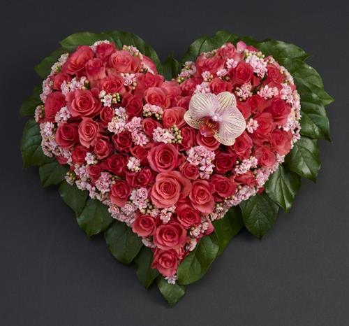 salynaz&nbsp;davidsen