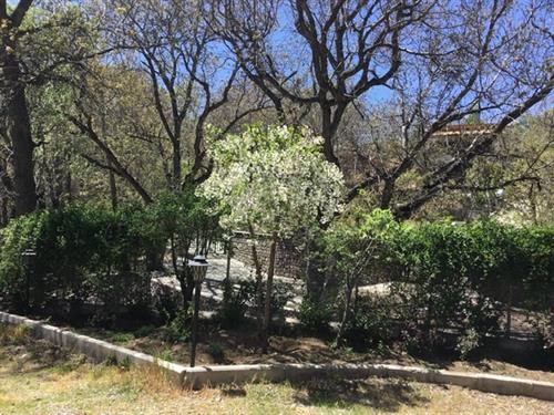 احمد &nbsp;احمدی