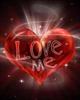 shayan