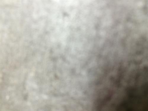 اميد&nbsp;رضايي