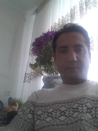 hamidreza&nbsp;mohammadi