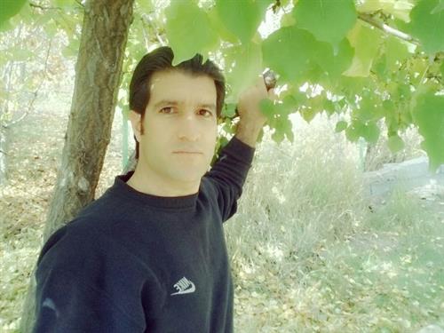 shahram&nbsp;sh