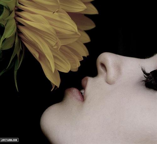 مهسا&nbsp;محمدزاده