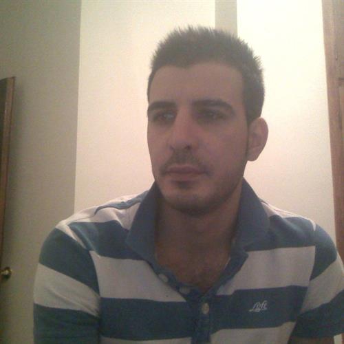 hamed&nbsp;r