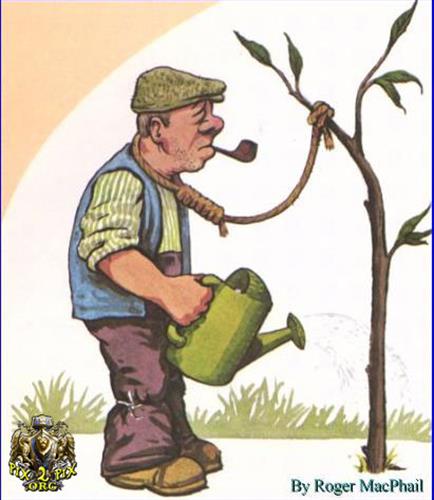  n@rim@nn&nbsp;gorjan