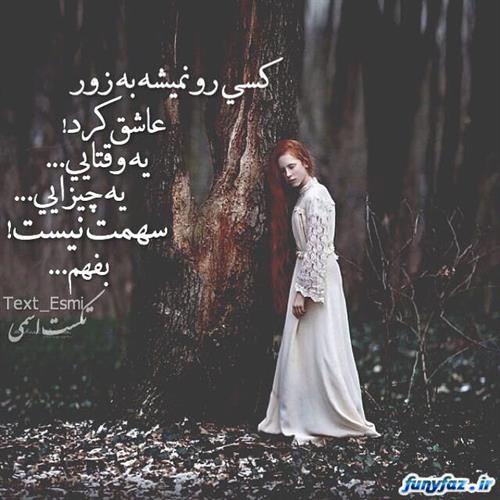 سیاوش&nbsp;بابایی