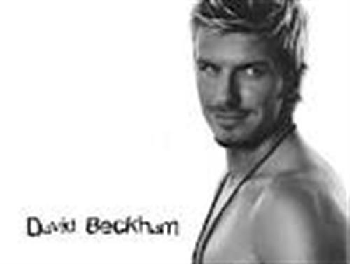 mohsen&nbsp;rajabpour