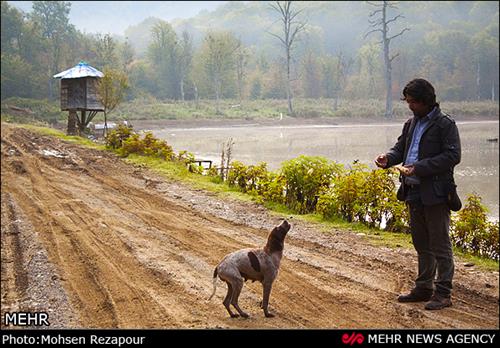 سید رسول&nbsp;موسوی