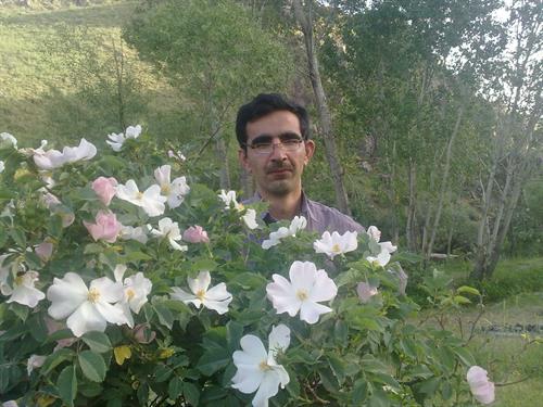 hosin3088&nbsp;hosik3088