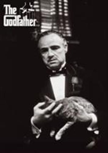 hammed&nbsp;golamzadeh