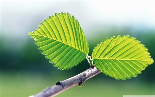 mohammad&nbsp;javany