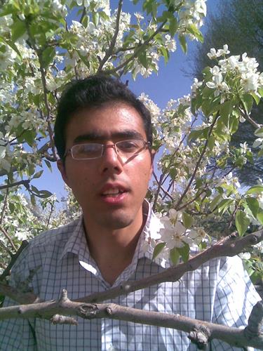 mohammad&nbsp;karimi