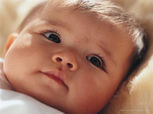 arasto&nbsp;momivand