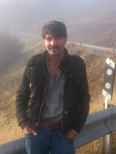 آیرا&nbsp;شریفی