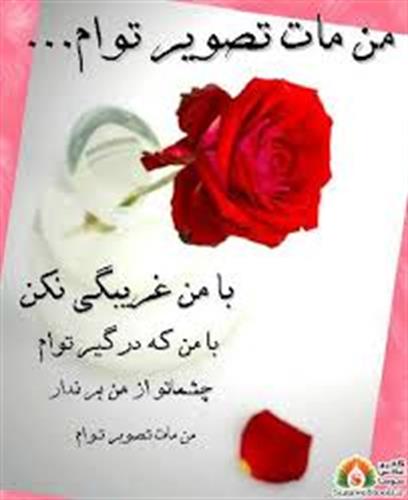 رضا&nbsp;سلیمانیان