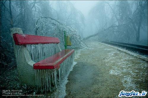 fereydoun&nbsp;sasani