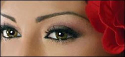 mozhgan&nbsp;shokofe