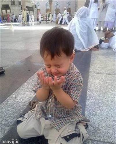 mojtaba&nbsp;hashemi