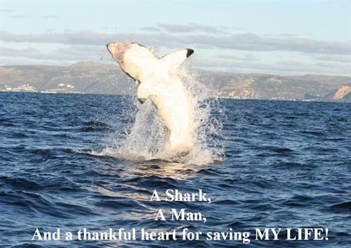 یوسف&nbsp;احمدی