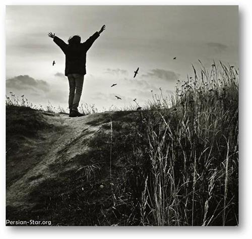 saeid&nbsp;محمدی زاده