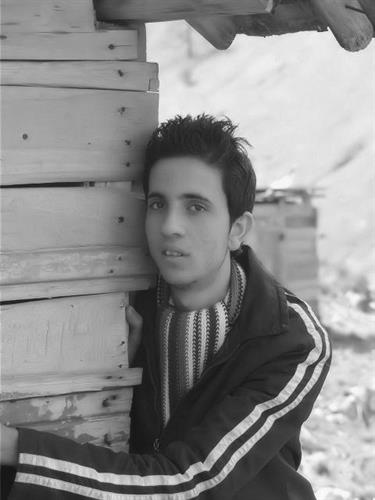 محمد&nbsp;محمودی