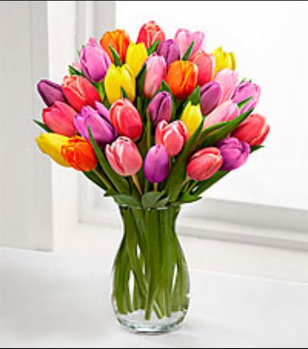 zahramm36&nbsp;zahramm36